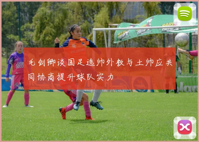毛剑卿谈国足选帅外教与土帅应共同协商提升球队实力