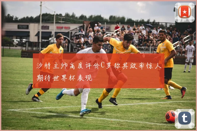 沙特主帅高度评价C罗称其效率惊人期待世界杯表现