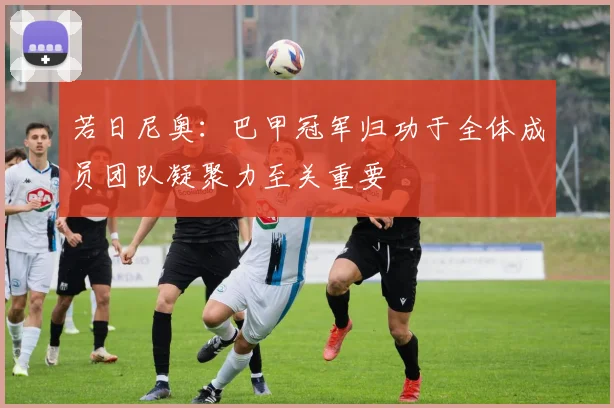 若日尼奥：巴甲冠军归功于全体成员团队凝聚力至关重要